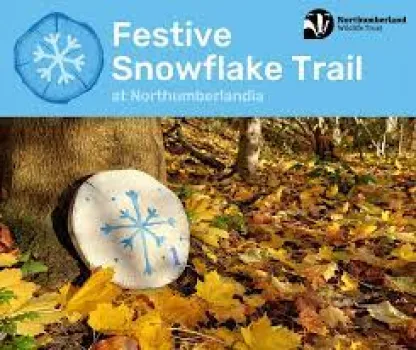 Festive Snowflake Trail 17th-18th Dec at Northumberlandia, Cramlington. 