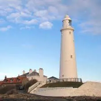 Winter Wildlife Watch at St Mary's Lighthouse - Whitley Bay