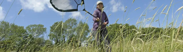 Family Minibeast Hunt at Northumberlandia, Cramlington. 