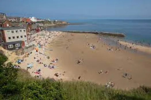 Cullercoats Harbour Day  at Cullercoats Bay