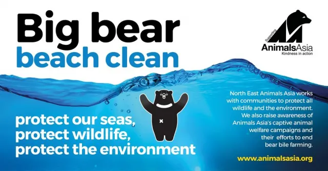 Big Bear Beach Clean at Littlehaven, South Shields