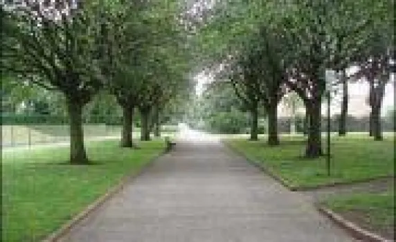 Thompson Park Family Fun Day CANCELLED  at Thompson Park, Sunderland