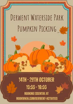 Pumpkin Picking - various dates in October at Derwent Waterside Park, Consett