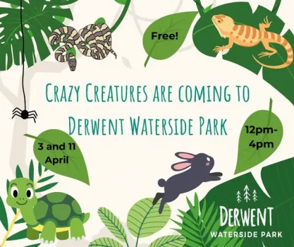 Crazy Creatures at Derwent Waterside Park